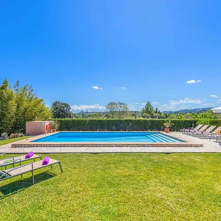 Patricia فيلة بويينسا